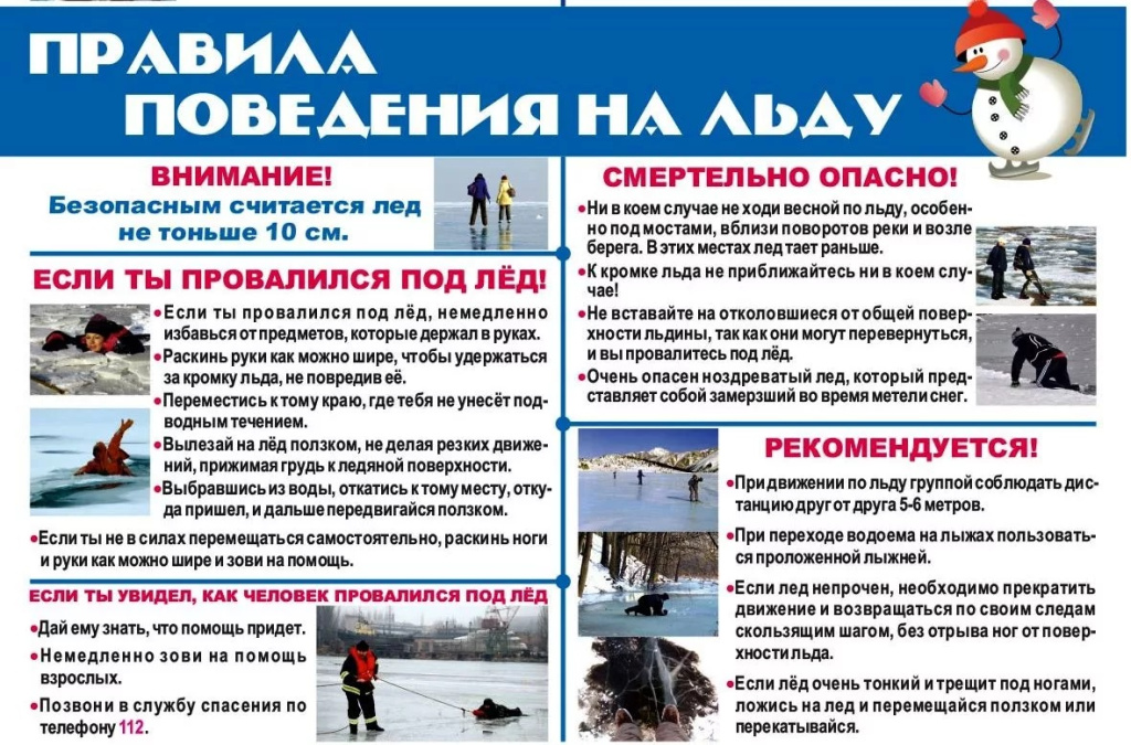 Изображение WhatsApp 2025-03-19 в 12.10.24_98a83ee2.jpg