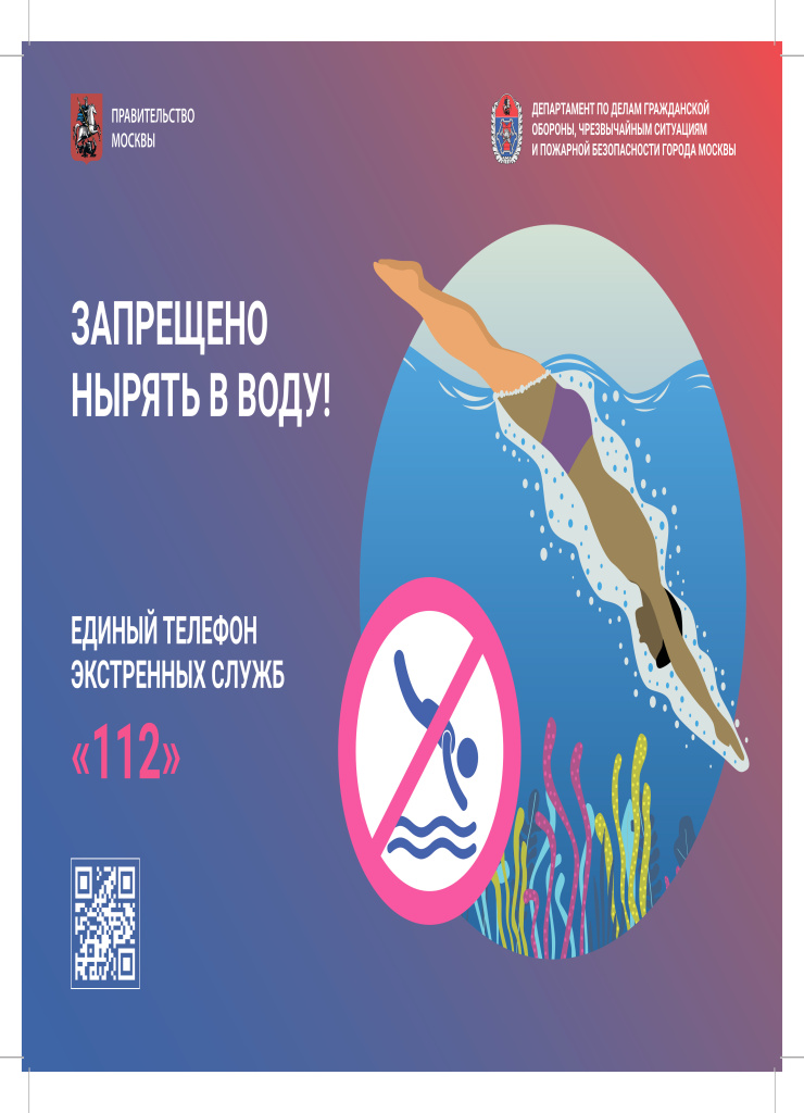 Памятки Ныряние и тарзанки запрещены отступы 3 мм ТОЛЬКО А4 ВЕРТИКАЛЬНЫЕ-3.jpg