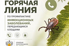 «Горячая линия» по профилактике клещевого энцефалита и других инфекций, передающихся клещами