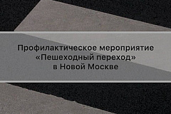 ГИБДД Новой Москвы напоминает пешеходам: соблюдение ПДД — залог безопасности