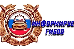 В Новой Москве прошло профилактическое мероприятие «Велосипедист»: Госавтоинспекция напомнила о правилах безопасности на дороге