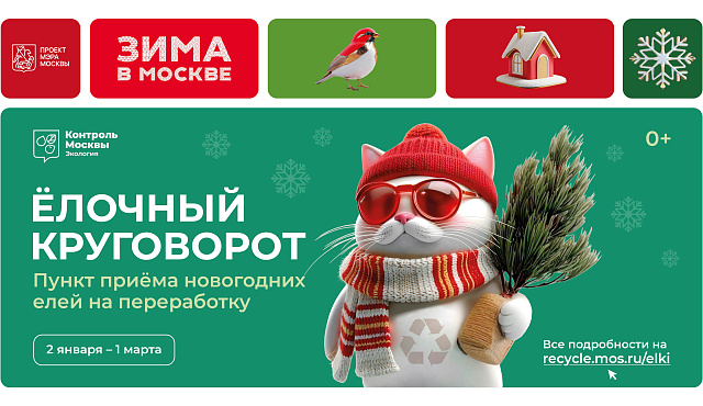 Жителей столицы приглашают присоединиться к акции «Елочный круговорот»